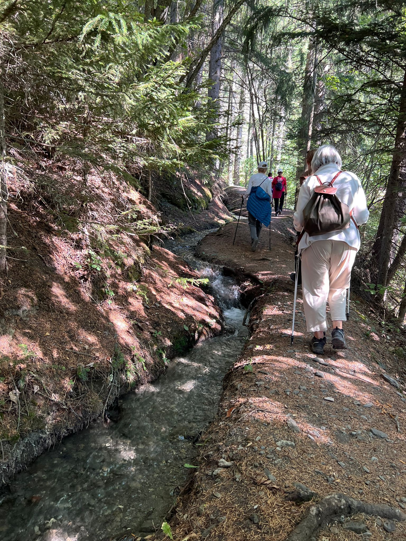 Forest Walk during 2022 Retreat